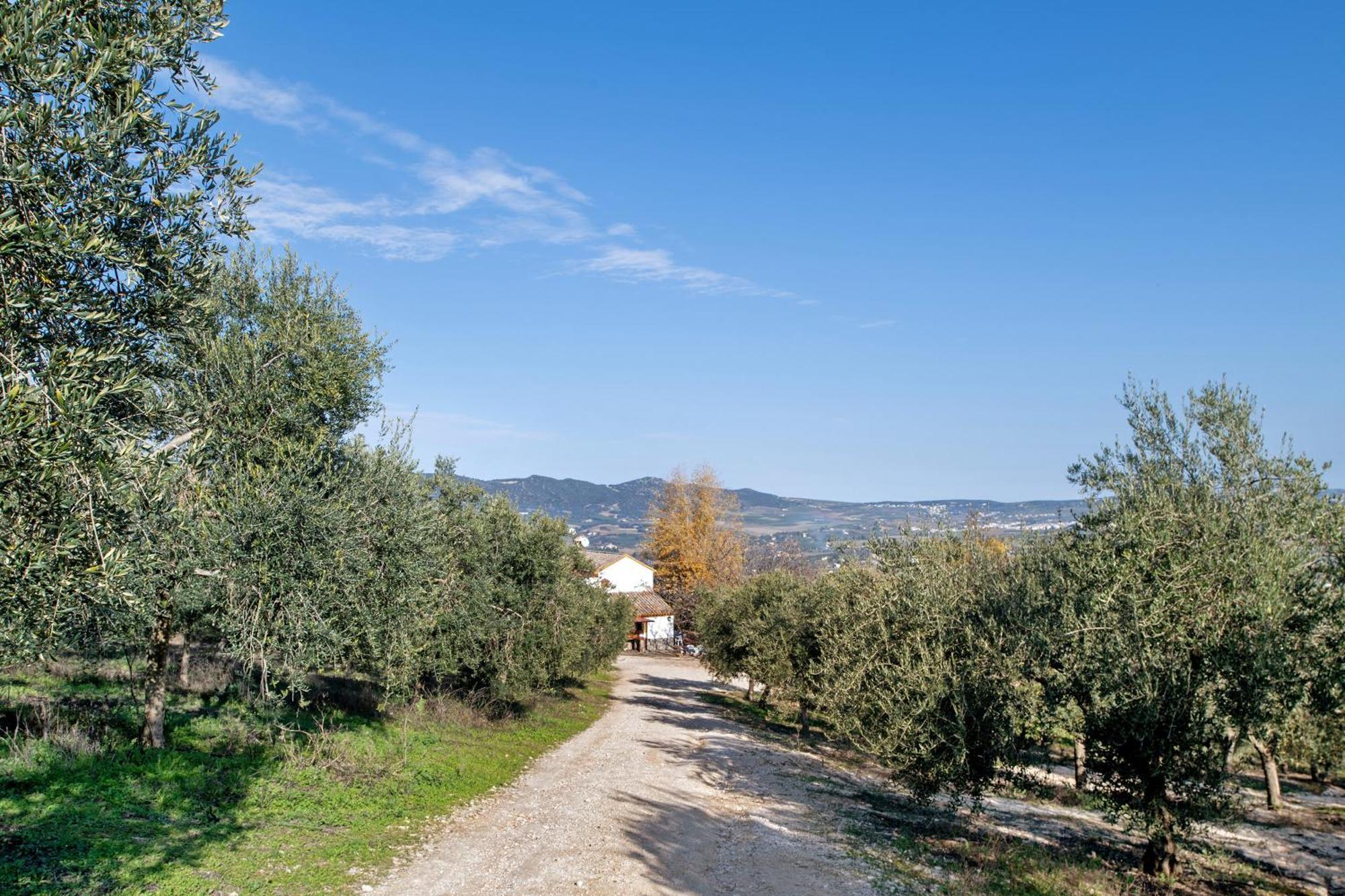 Casa Rural Fuente Dulce 론다 외부 사진